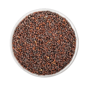 Mustard Seeds(Rai)