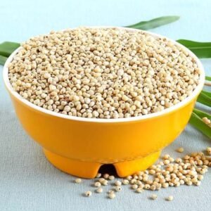 JOWAR (Sorghum)