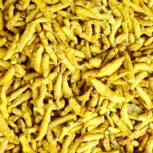 Turmeric finger and gatta